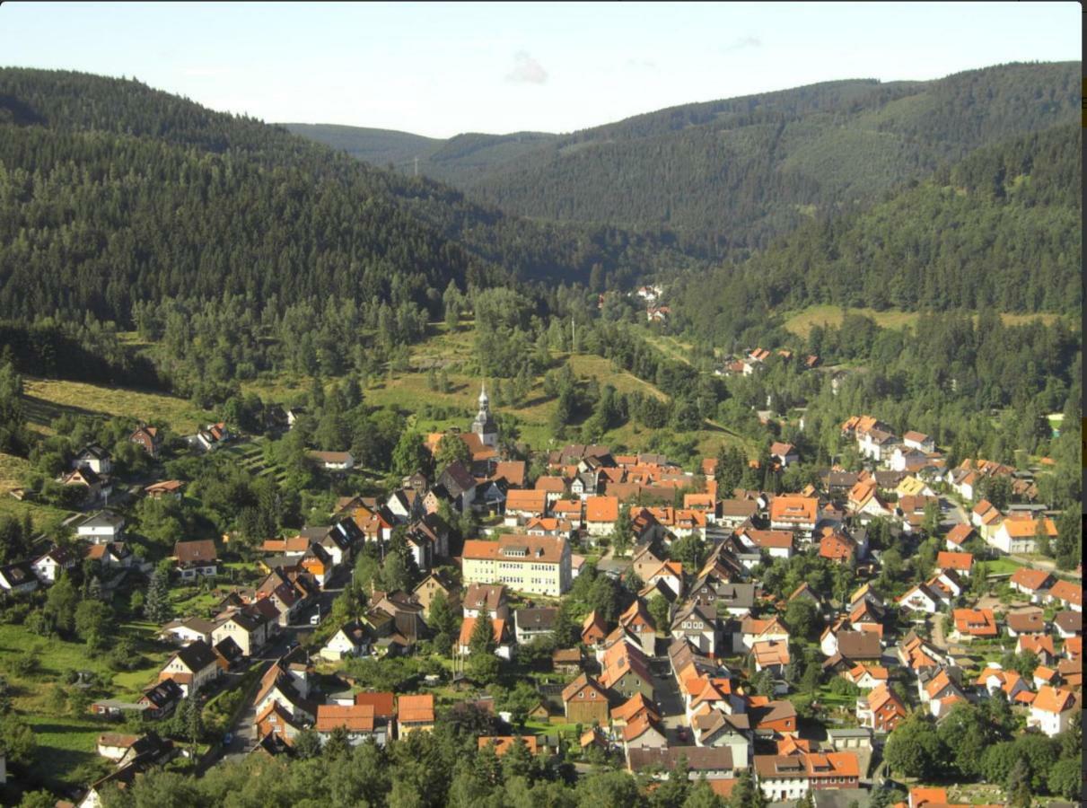 Ferienhaeuser Am Waldschloesschen Lautenthal Exterior foto